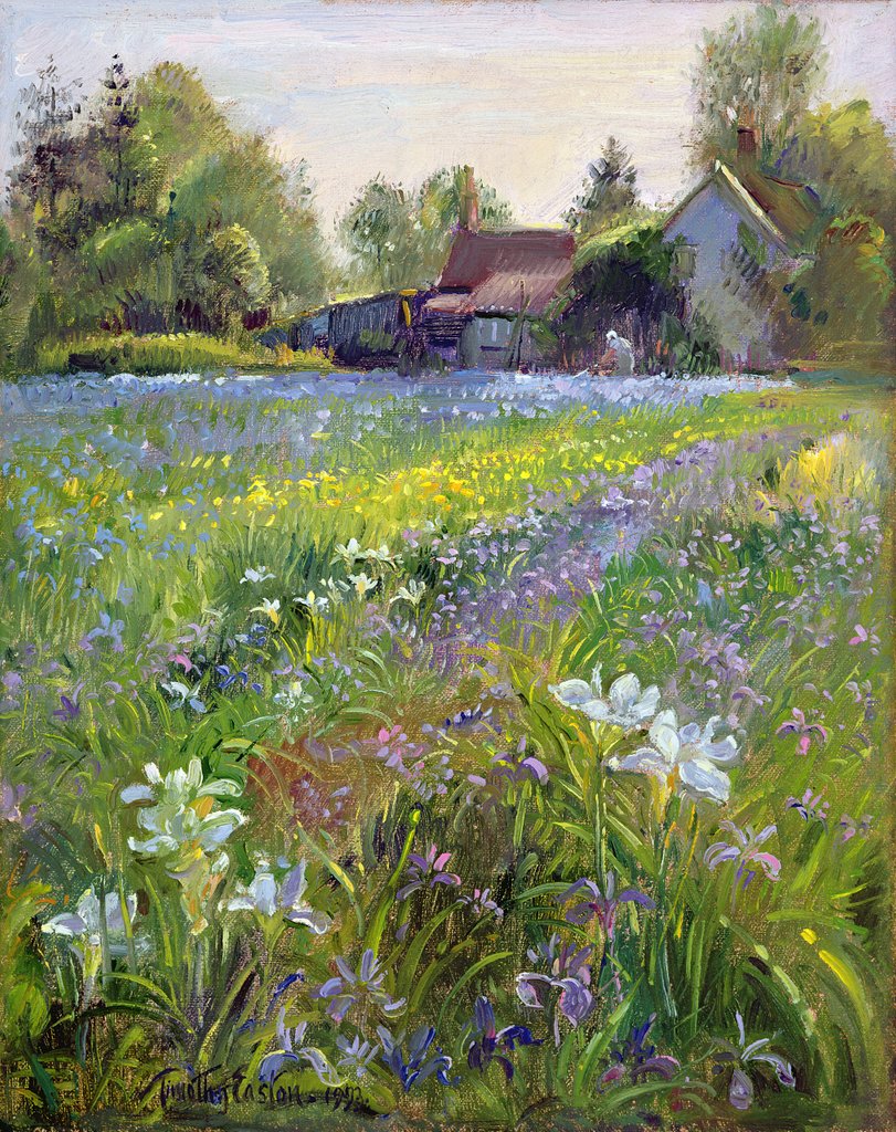 Detail of Dwarf Irises and Cottage, 1993 by Timothy Easton