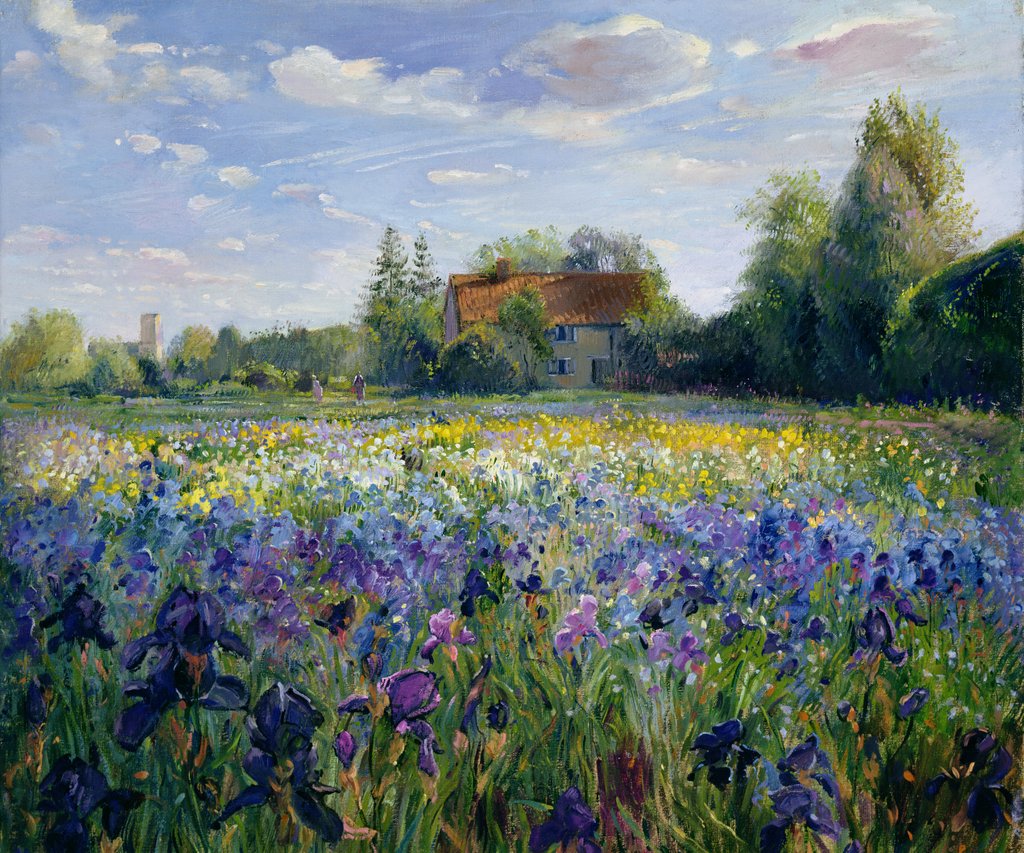 Detail of Evening at the Iris Field by Timothy Easton