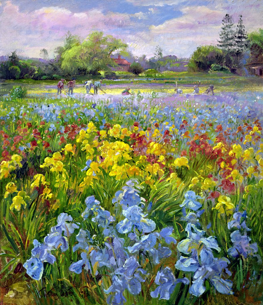 Detail of Hoeing Team and Iris Fields, 1993 by Timothy Easton