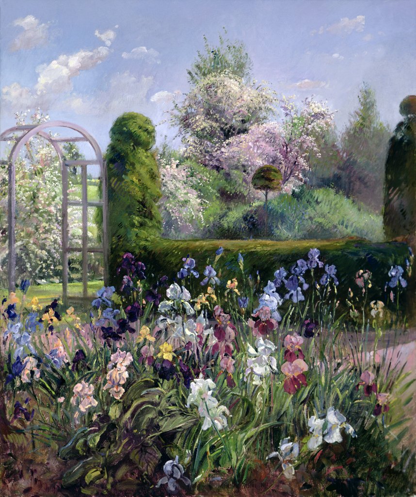 Detail of Irises in the Formal Gardens, 1993 by Timothy Easton