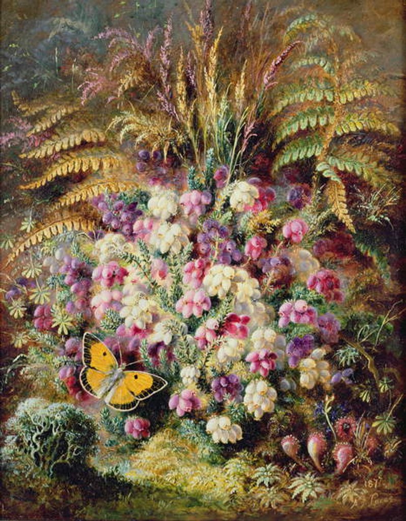 Detail of Bell Heather, 1877 by Albert Durer Lucas