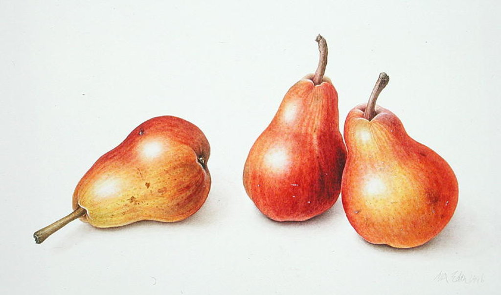 Detail of Red Pears, 1996 by Margaret Ann Eden
