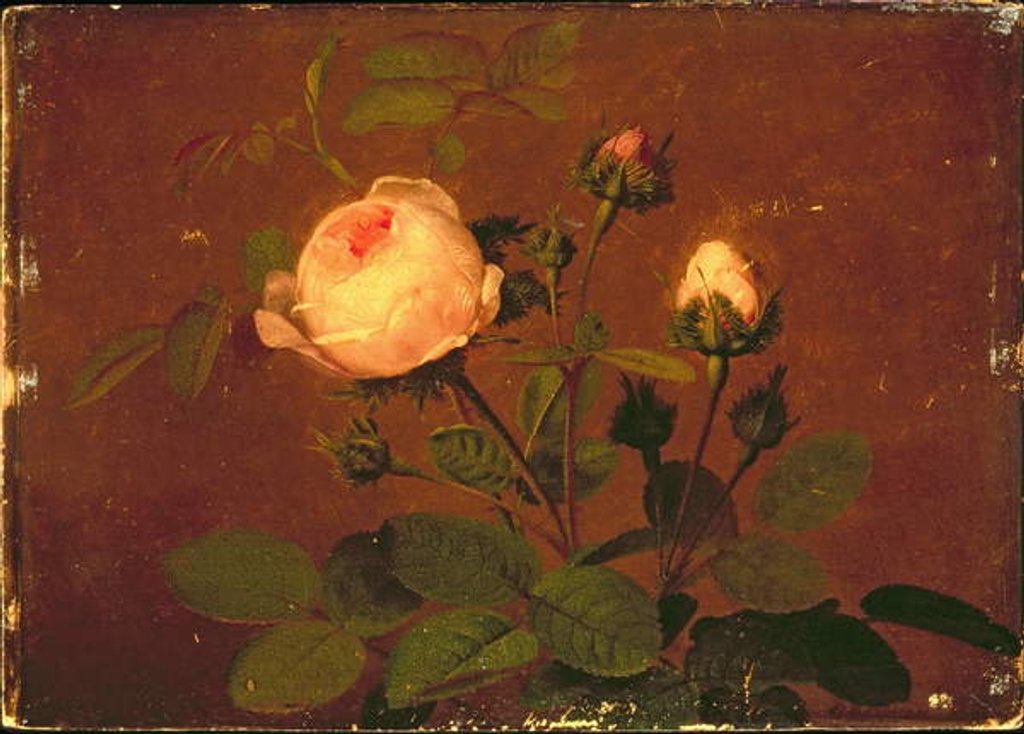 Detail of Roses, Roses by Otto Didrik Ottesen