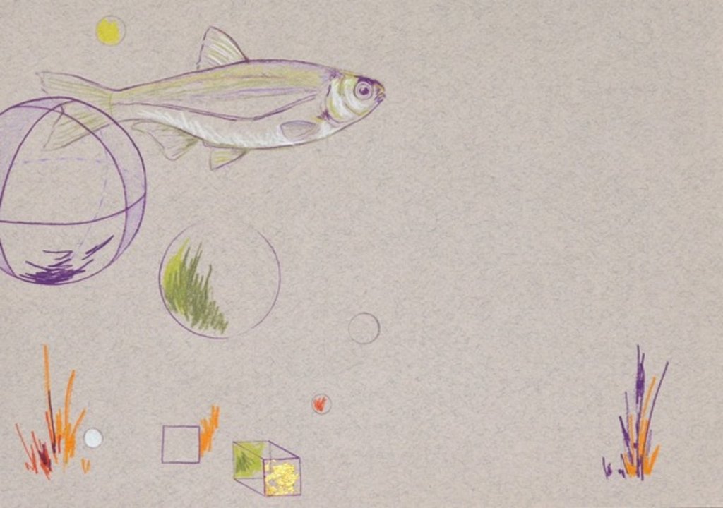 Detail of Floating, 2014 by Eleanor Grafton