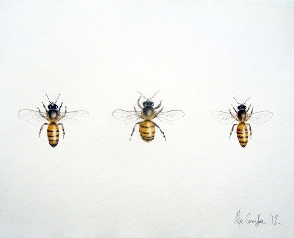 Detail of Three Bees, 2012 by Eleanor Grafton