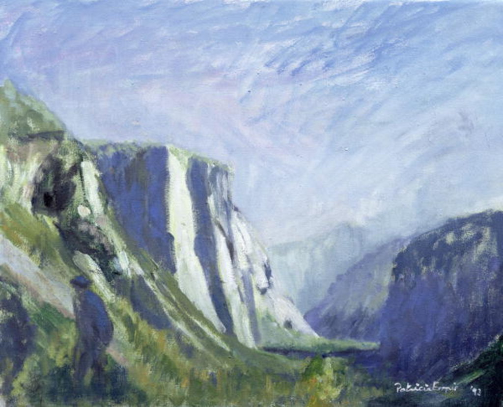 Detail of El Capitan, Yosemite National Park, 1993 by Patricia Espir