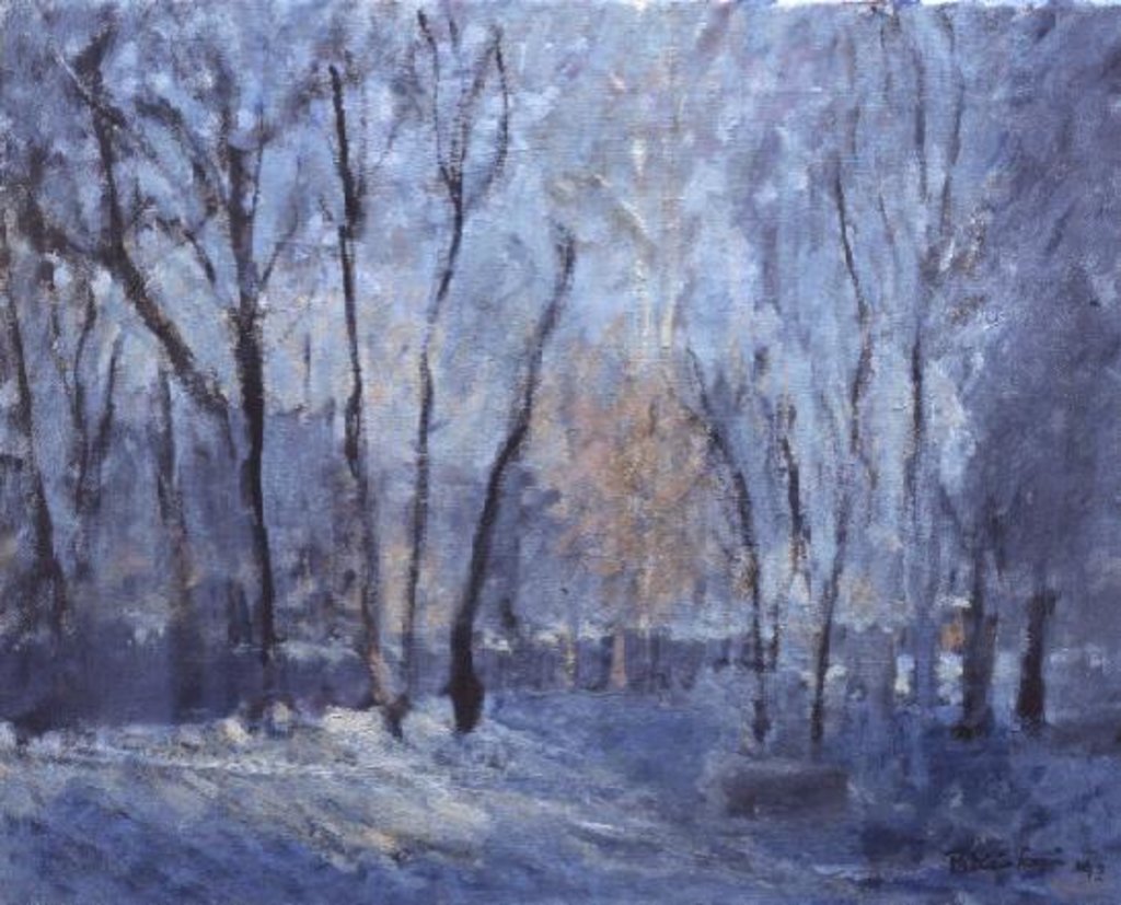 Detail of Snow in the Garden, 1993 by Patricia Espir