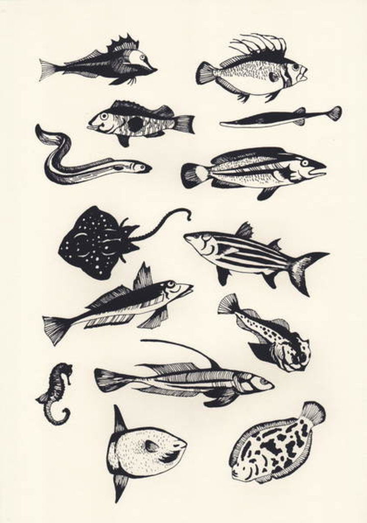 Detail of Monotone Plain Fish, 2015 by Eliza Southwood