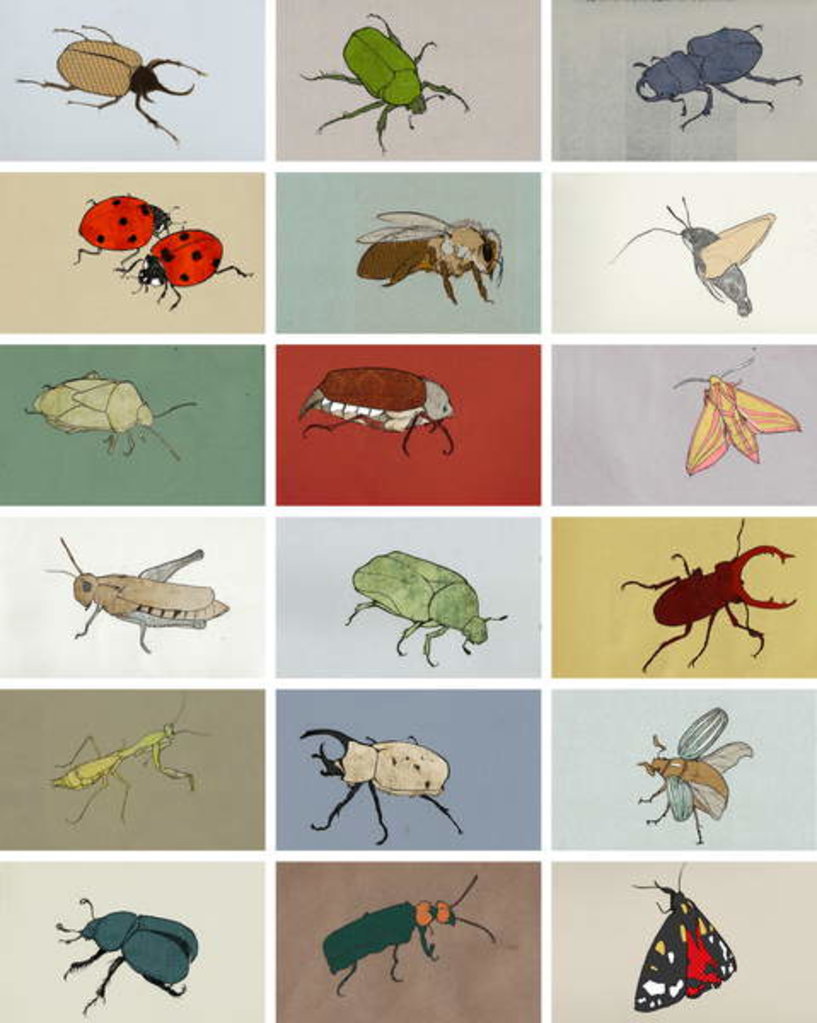 Detail of Insects, 2012 by Eliza Southwood