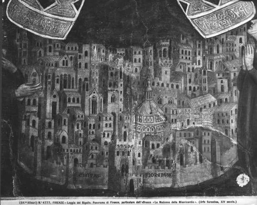 Detail of The Madonna della Misericordia by Italian School