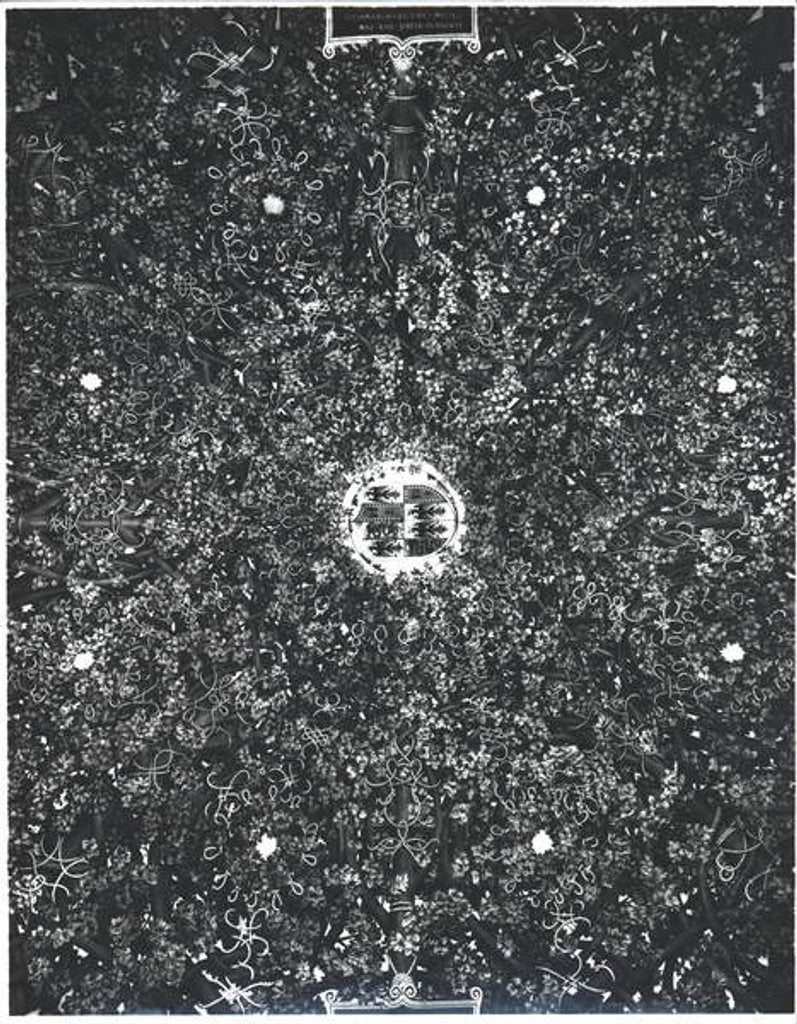 Detail of Detail of the vaulted ceiling of the 'Sala delle Asse' with a geometric branch pergola design, c.1498 by Leonardo da Vinci