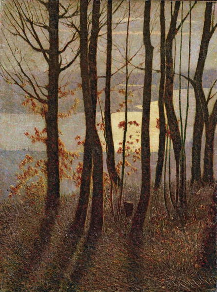 Detail of Morning by Vittore Grubicy de Dragon