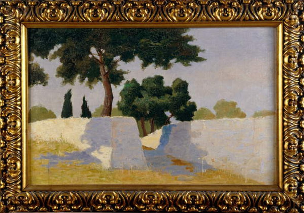Detail of Landscape with white walls by Damaso Bianchi