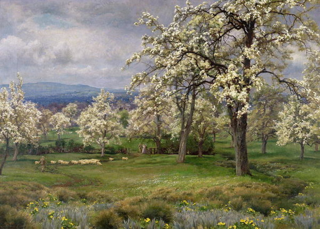 Detail of The Pear Orchard, c.1903 by Alfred Parsons
