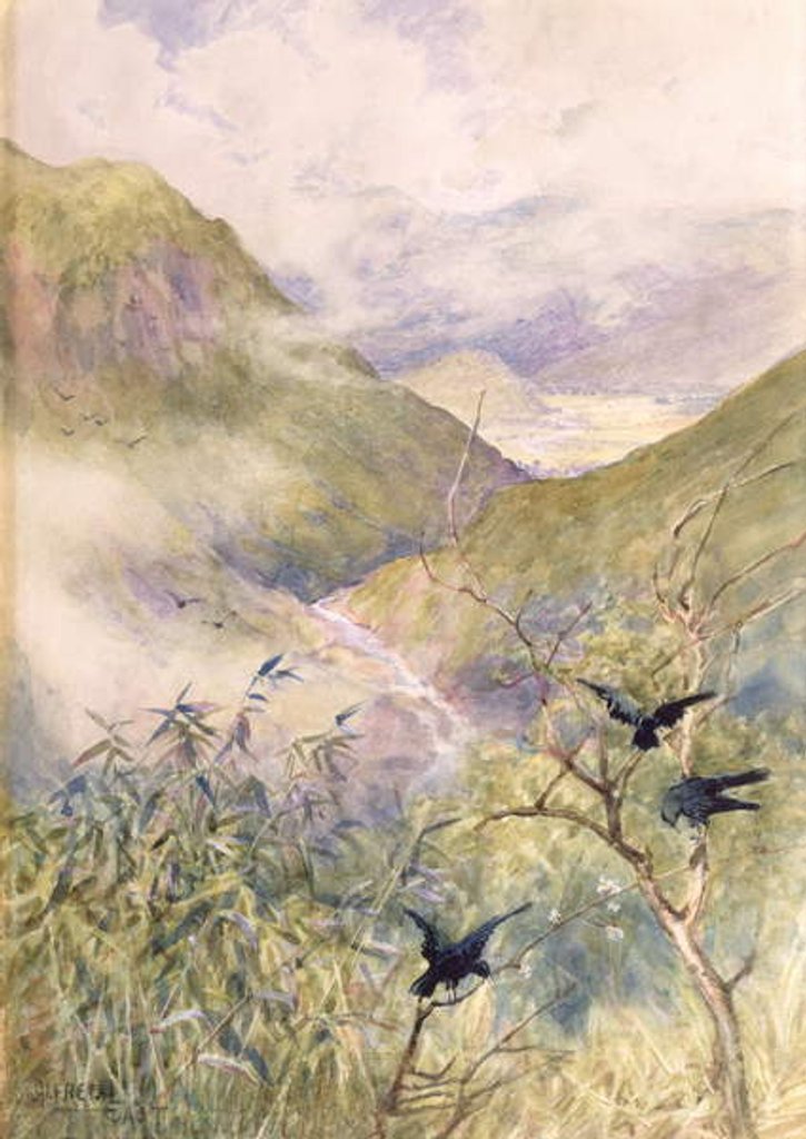 Detail of Looking Over the Lilies by Alfred East