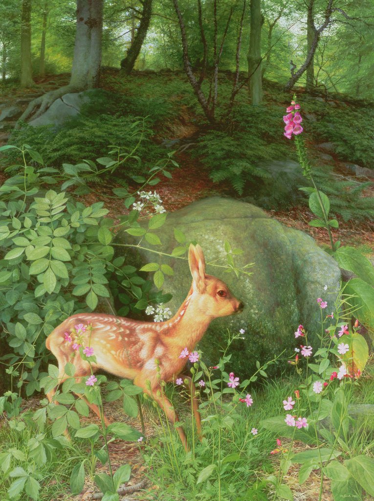 Detail of Young Roe Deer in Adel Woods, 1999 by Raymond Booth