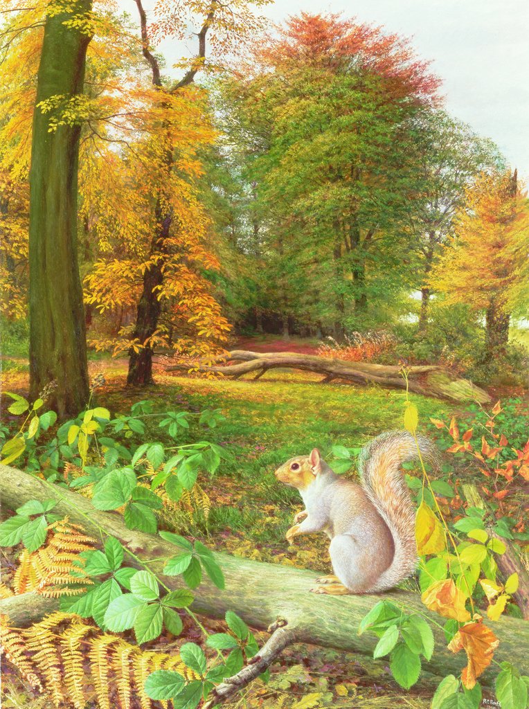 Detail of Squirrel on a Fallen Tree, 1995 by Raymond Booth