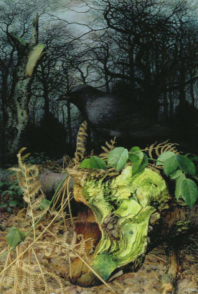 Detail of Midwinter in the Woods, 1999 by Raymond Booth