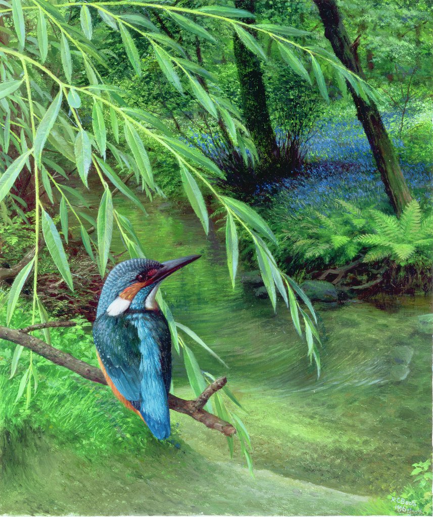 Detail of Kingfisher, 1996 by Raymond Booth