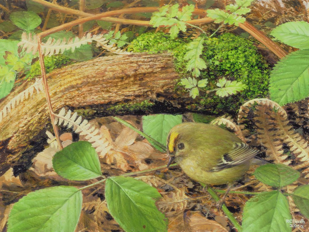 Detail of Gold Crest, 2000 by Raymond Booth