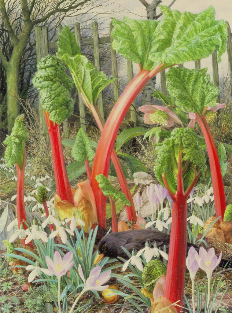 Detail of In the Rhubarb Patch, 2000 by Raymond Booth