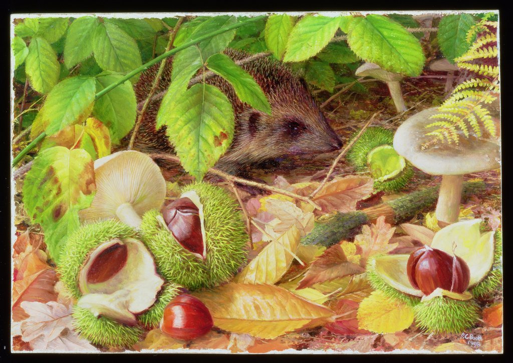 Detail of On the Woodland Floor in October, 1998 by Raymond Booth