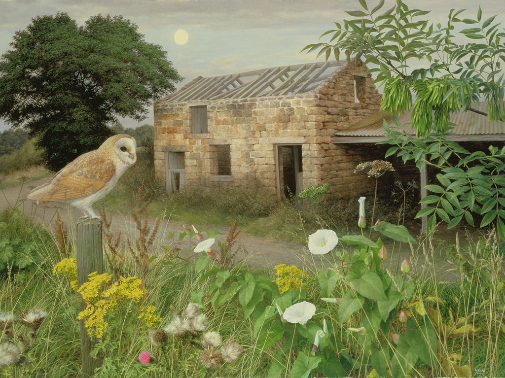 Detail of The Old Farm Buildings at Eccup, 2000 by Raymond Booth