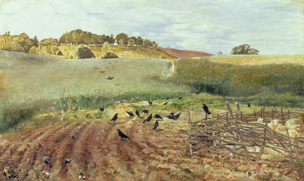 Detail of The Rooks' Parliament, 1858 by John Samuel Raven