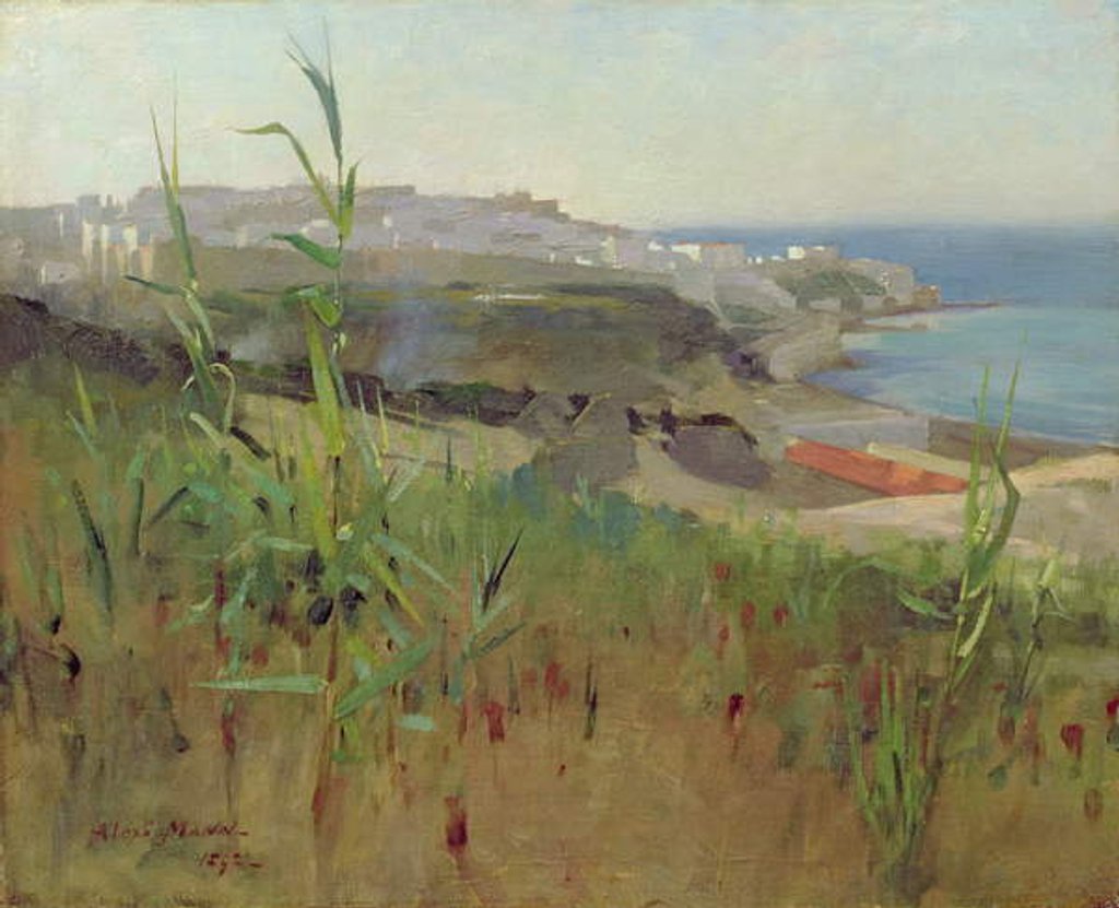 Detail of Tangier from the Dunes, 1892 by Alexander Mann