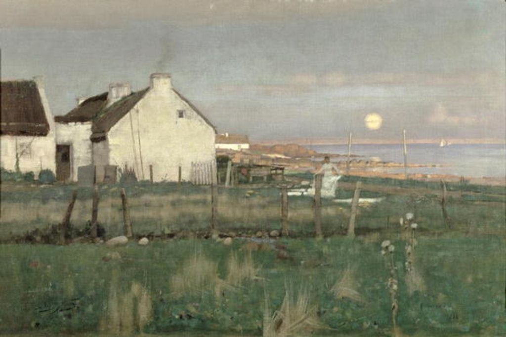 Detail of Auchenhew, Arran, 1886 by James McLachlan Nairn