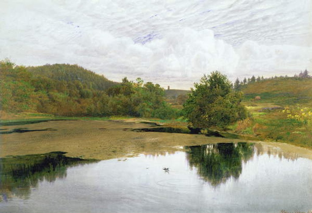 Detail of The Pool, 1860 by Edmund George Warren