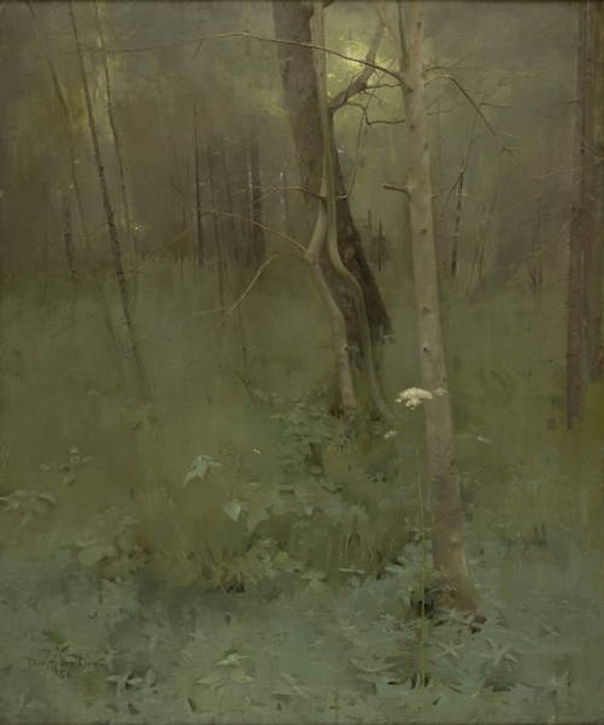 Detail of Trees, 1886 by Thomas Millie Dow