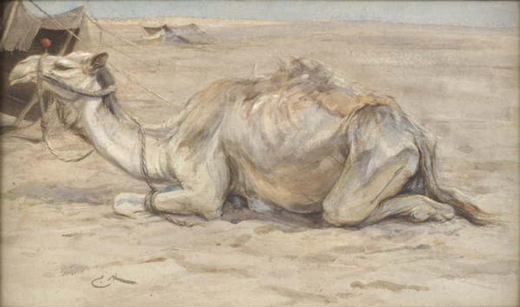 Detail of Camel at the Artist's Camp with Bedouins by Edwin John Alexander