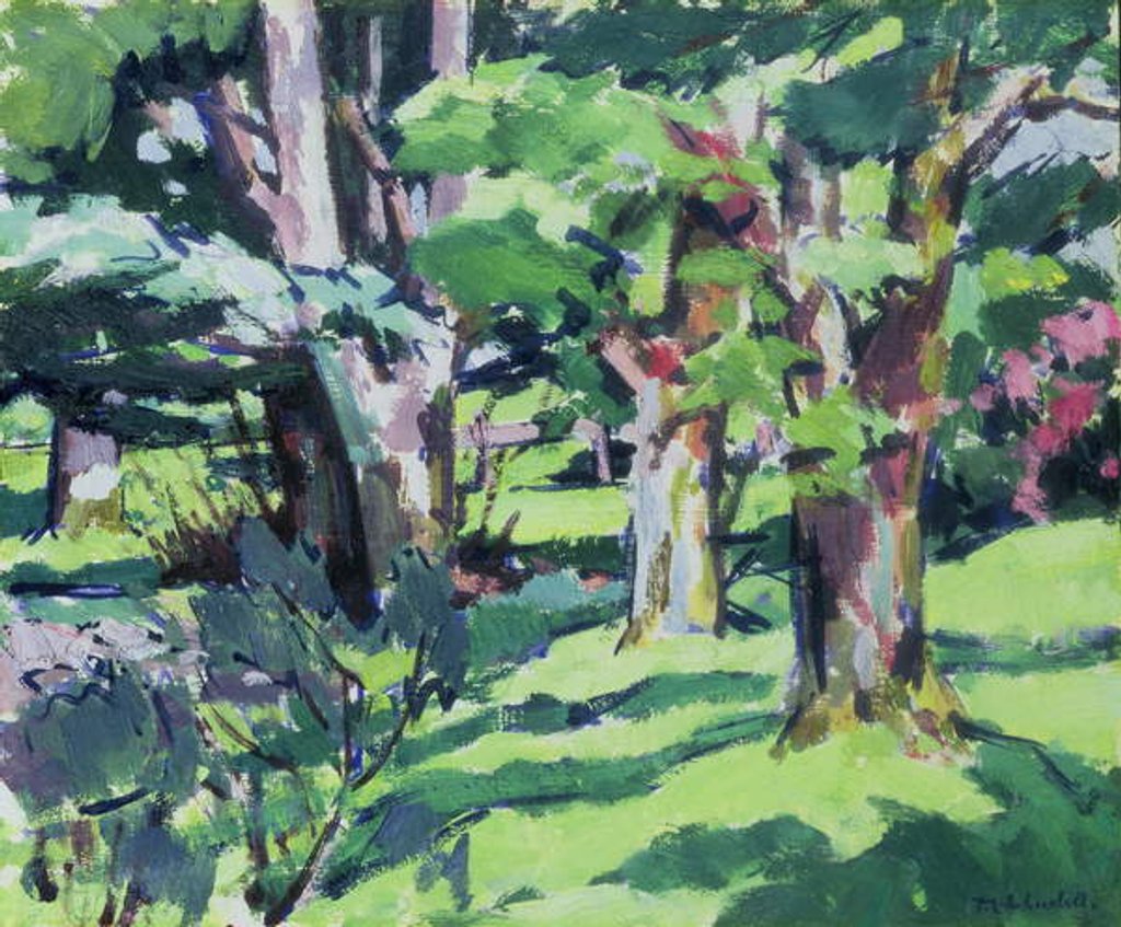 Detail of Trees at Auchinleck, Ayrshire by Francis Campbell Boileau Cadell
