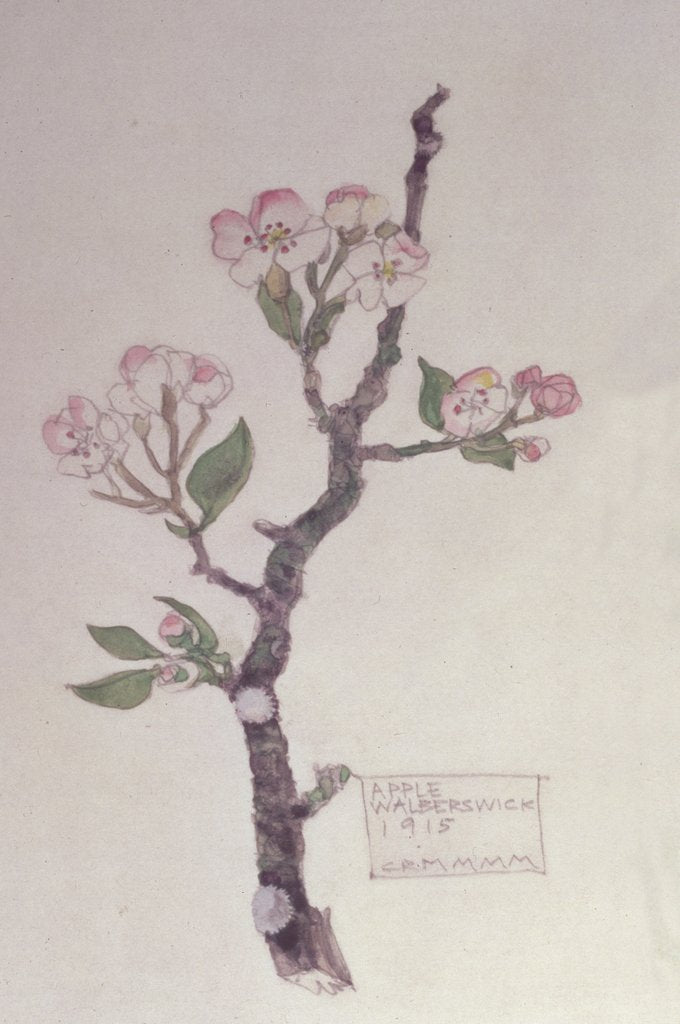 Detail of Apple, Walberswick, 1915 by Charles Rennie Mackintosh