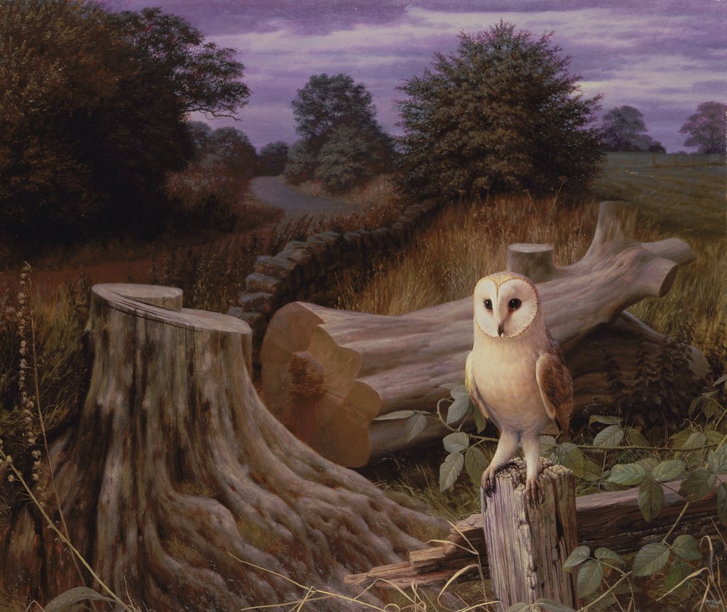 Detail of Barn Owl at Dawn, 1980 by Raymond Booth