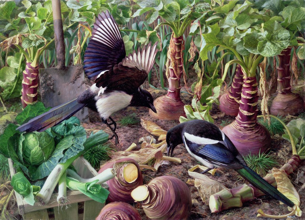 Detail of Magpies in the Vegetable Garden by Raymond Booth