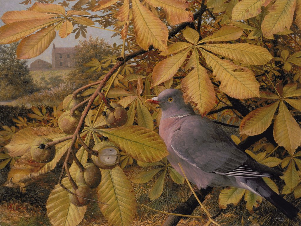 Detail of October: Pigeon in Horse Chestnut, 1981 by Raymond Booth