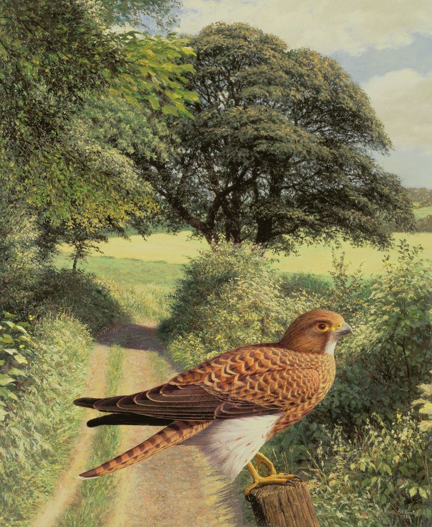 Detail of Falcon on Gatepost, 1981 by Raymond Booth