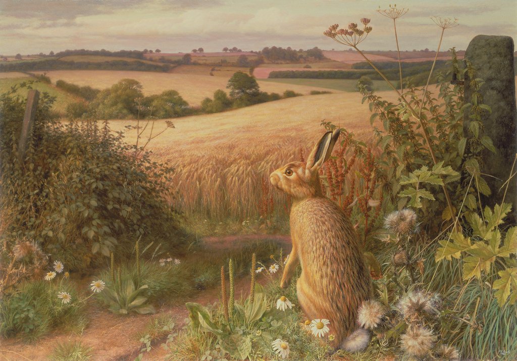 Detail of Hare in a Field, 1980 by Raymond Booth