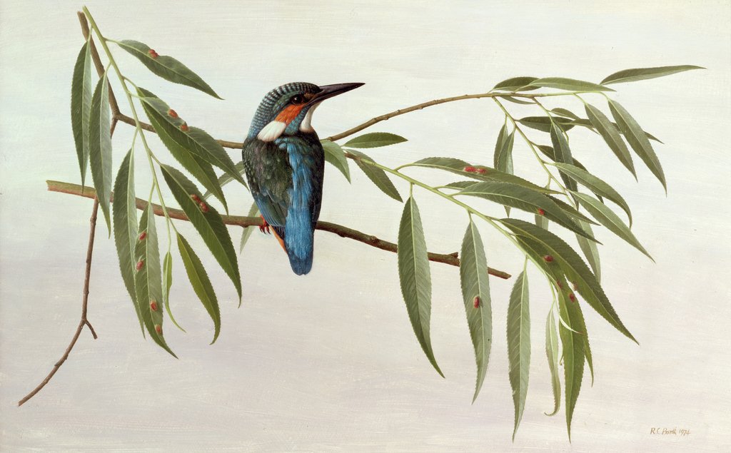 Detail of Kingfisher, 1974 by Raymond Booth