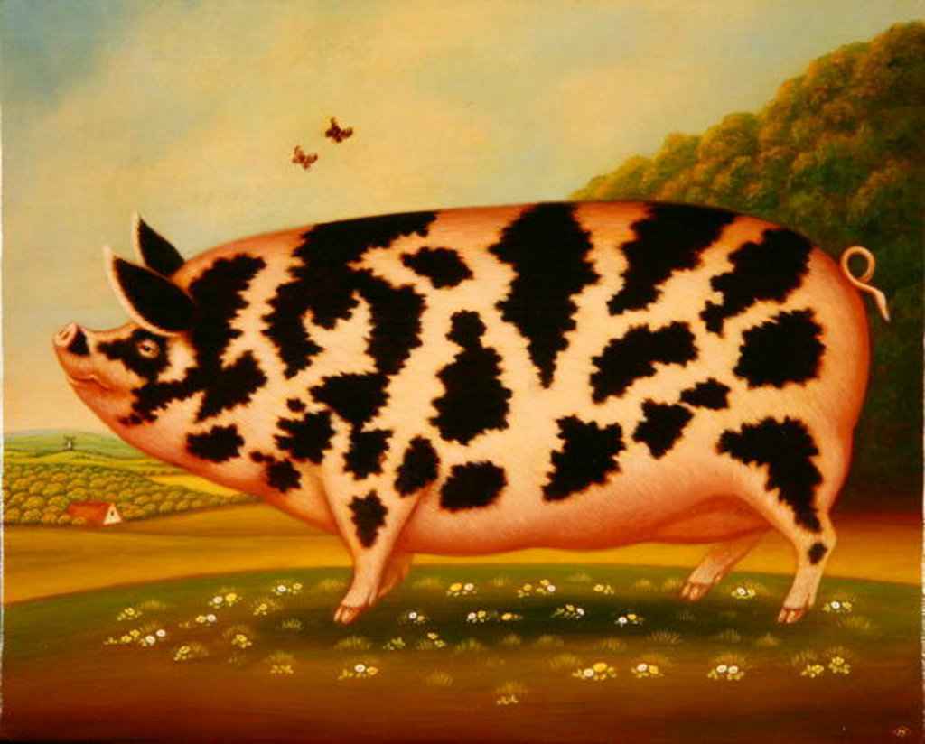 Detail of Old Spot Pig, 1998 by Frances Broomfield