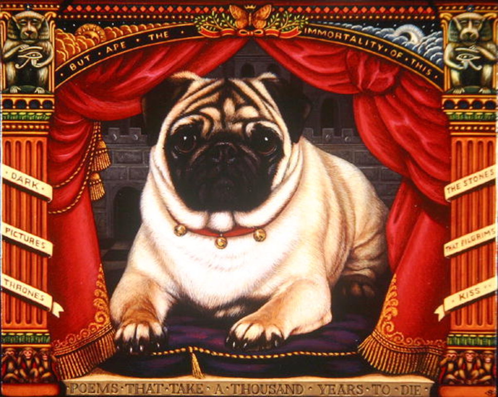 Detail of Nabokov's Pug, 2006 by Frances Broomfield