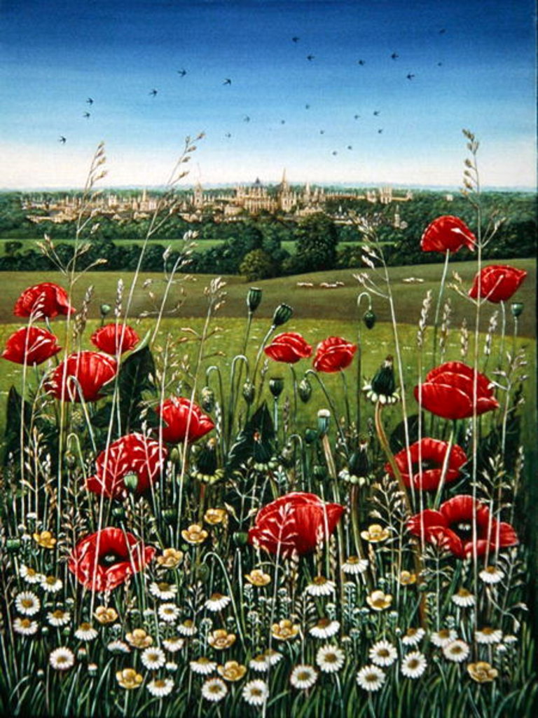 Detail of Oxford / Poppies, 1983 by Frances Broomfield