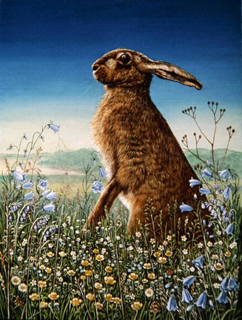 Detail of Hare, 1984 by Frances Broomfield