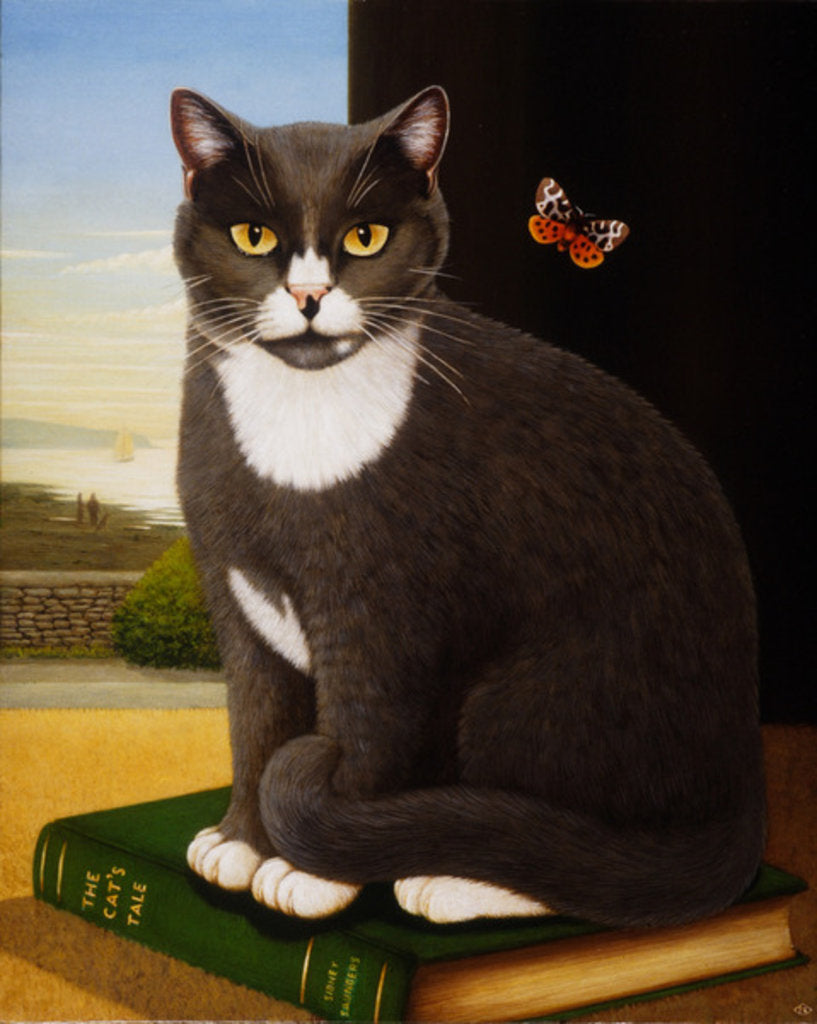 Detail of Sidney, 1993 by Frances Broomfield