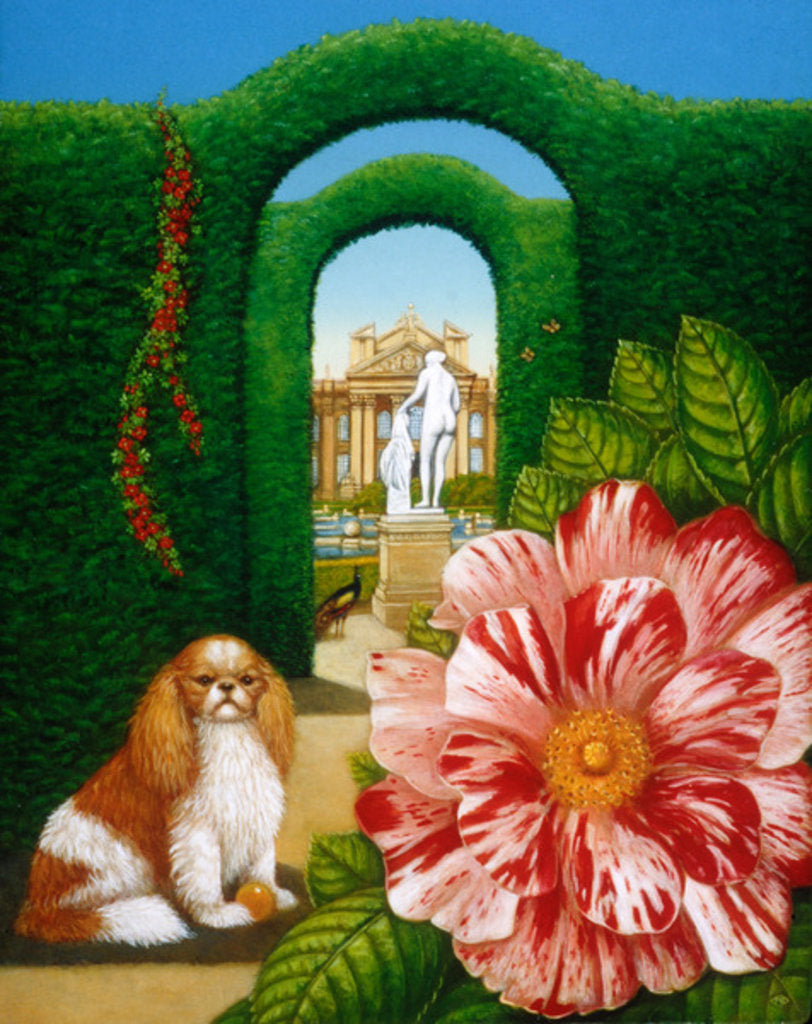 Detail of Rosa Mundi, 1995 by Frances Broomfield