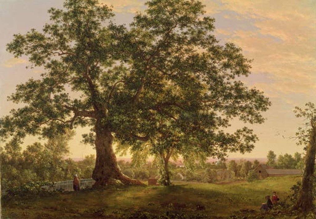 Detail of The Charter Oak at Hartford, c.1846 by Frederic Edwin Church