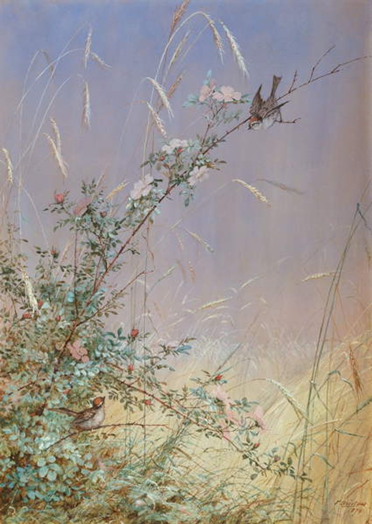 Detail of Wild Roses Among Rye, 1874 by Fidelia Bridges
