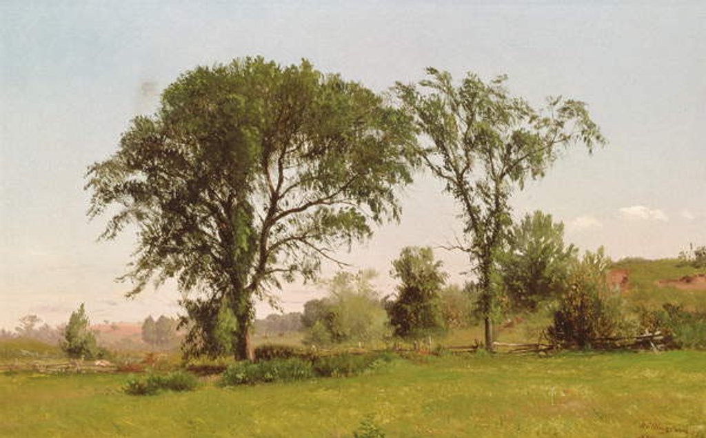 Detail of Wallingford, Connecticut, 1867 by John Williamson